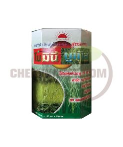 โนมินี่ บูเกิล 100 ซีซี