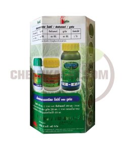 โนมินี่ บูเกิล 250 ซีซี - Image 3