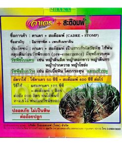 คาเดร + สะต๊อมพ์ - Image 3