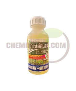 แกรนด์สแตน 500 ซีซี