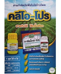 คลีโอ-โปร - Image 4