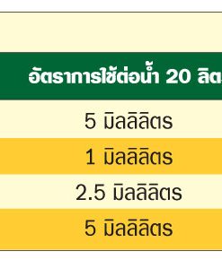 เอฟโฟเรีย - Image 6
