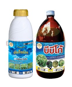 ซันโซนิท + บีบีโก้ (ซามูไรเก็บหญ้า)