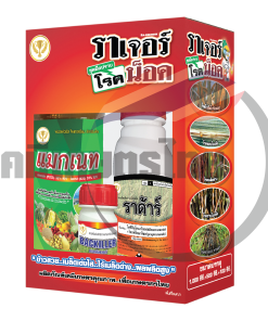 ราเจอร์น๊อค (ชุดมือปราบโรค)